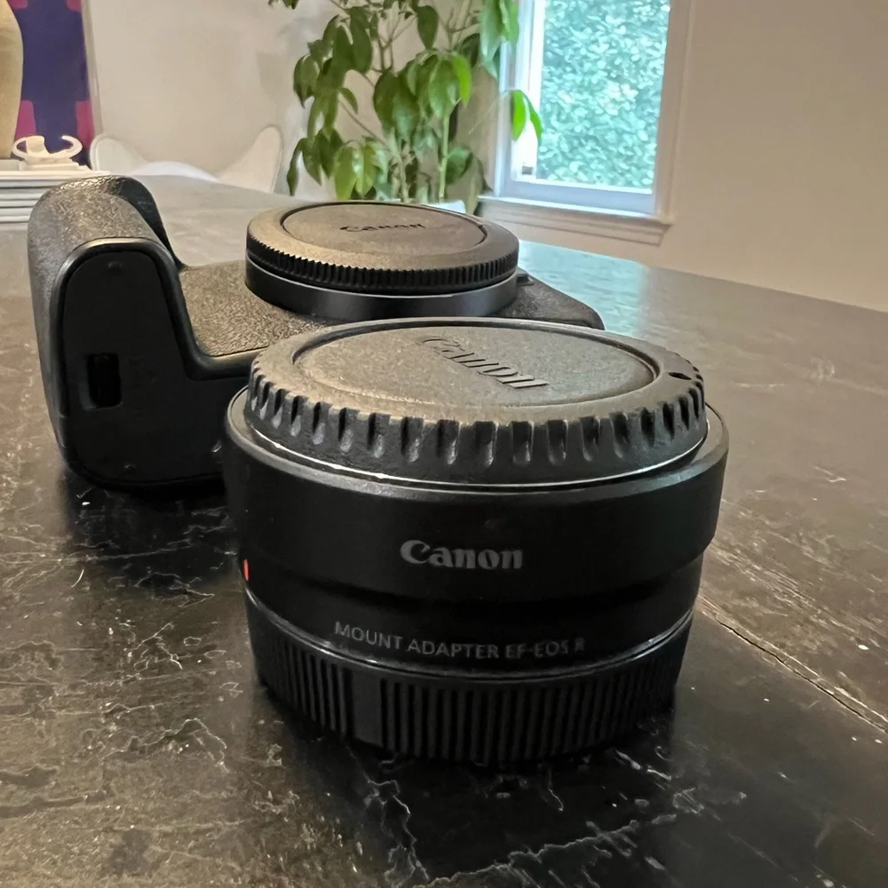 Canon EOS RP with mount adapter, two lenses, gimbal, and strap